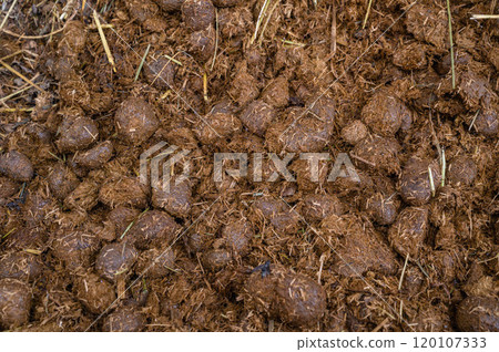 Composting Animal feces Composting Animal feces 120107333