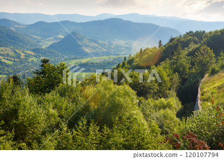 carpathian mountain landscape in summer. beauttiful view. countryside scenery in afternoon light. forested slopes. village in the distant valley. outdoor adventure 120107794