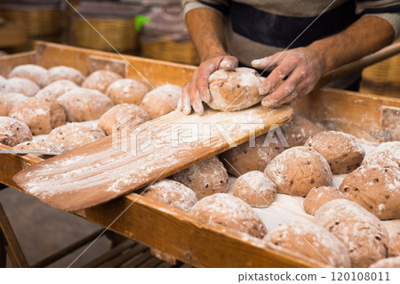 Bread preparation. loaves of dough before baking Bread preparation. loaves of dough before baking 120108011