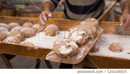 Bread preparation. loaves of dough before baking Bread preparation. loaves of dough before baking 120108025