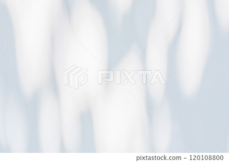 Abstract natural tree leaves shadow on white wall background 120108800