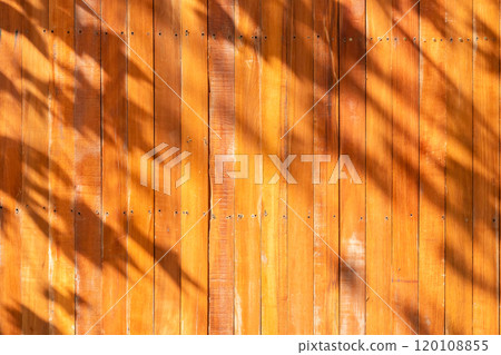 Tree leaves shadow on wooden wall background 120108855