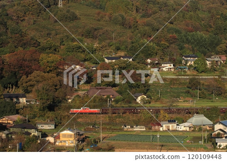 Rapid Gunma fin No. 4 (DD51-895) running along the beautifully colored Joetsu Line_Photo taken on November 9, 2024 Rapid Gunma fin No. 4 (DD51-895) running along the beautifully colored Joetsu Line_Photo taken on November 9, 2024 120109448