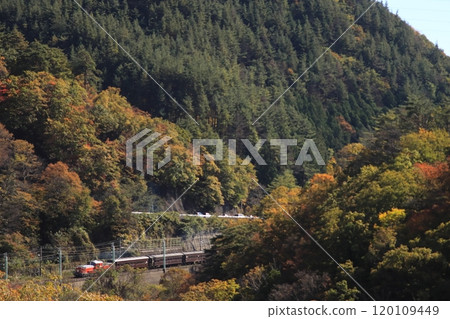 Rapid Gunma fin No. 4 (pulled by DD51-895) running on the beautifully colored Joetsu Line_Photo taken on November 9, 2024 Rapid Gunma fin No. 4 (pulled by DD51-895) running on the beautifully colored Joetsu Line_Photo taken on November 9, 2024 120109449