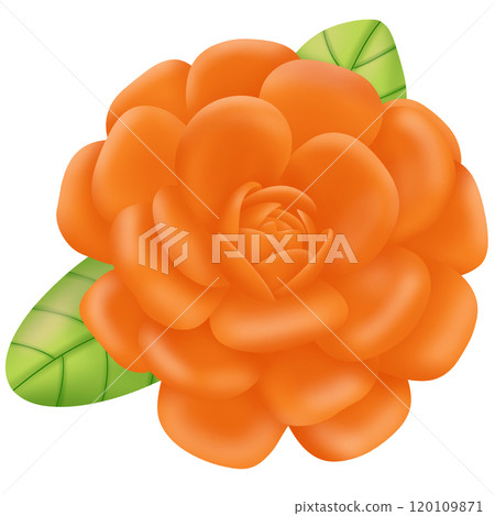 Orang flower Orang flower 120109871