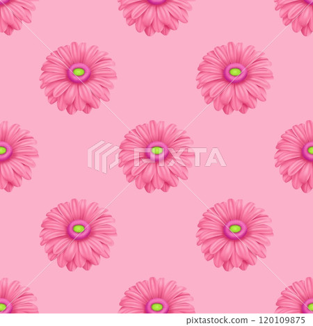 seamless pattern with daisy flowers seamless pattern with daisy flowers 120109875