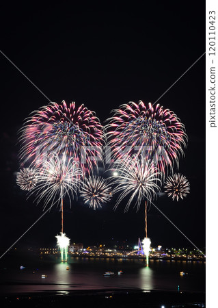煙火 煙火 120110423