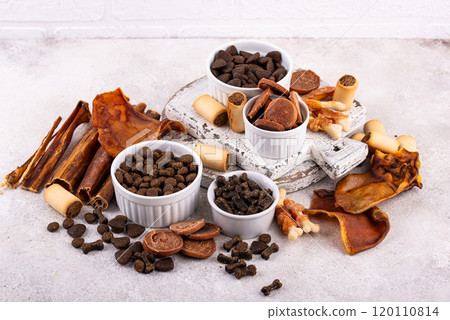 Assortment of different dog treats and snack Assortment of different dog treats and snack 120110814