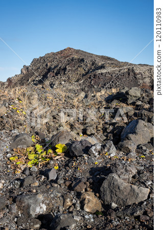 Detail of volcanic,, Grindavik, Iceland Detail of volcanic,, Grindavik, Iceland 120110983