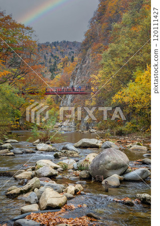 Hokkaido Sapporo Jozankei Autumn Foliage 120111427