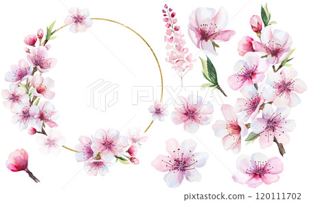 Frame and bouquet with watercolor pink cherry flowers, wedding sakura isolated illustration Frame and bouquet with watercolor pink cherry flowers, wedding sakura isolated illustration 120111702
