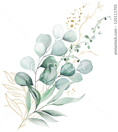 Bouquet with green and golden watercolor eucalyptus leaves, wedding illustration 120111705