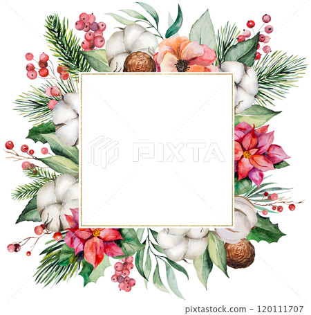 Christmas frame with watercolor green fir twigs, red berries and cotton flowers. Holidays Illustration 120111707