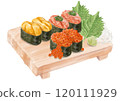 Watercolor sushi set (assortment) 13_1 120111929