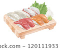 Watercolor sushi set (assortment) 14_1 120111933