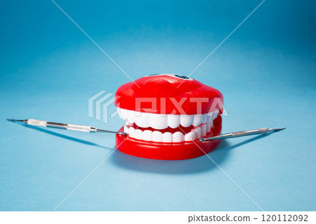 Jaw with white teeth on blue background. Dentist day concept  120112092