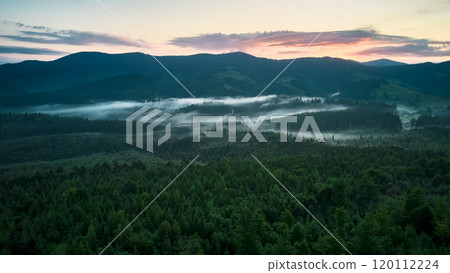 Stunning aerial view of dense forest blanketed in morning mist, with rolling green hills and distant mountains under pastel sky. Mist creates dreamy atmosphere, softening landscape's features. 120112224
