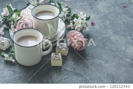 Delicious zephyr and cups with cocoa Delicious zephyr and cups with cocoa 120112543