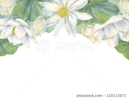 Watercolor blooming white lotus with yellow center horizontal border. Hand painting waterlily flowers with buds, leaves botanical illustration for wedding design, greeting card. Copy space for text Watercolor blooming white lotus with yellow center horizontal border. Hand painting waterlily flowers with buds, leaves botanical illustration for wedding design, greeting card. Copy space for text 120112871