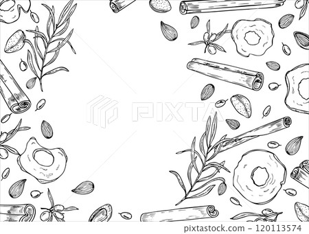 Cinnamon sticks, almond seeds, dried apple slices and sea buckthorn vector horizontal frame painted by black inks. Winter ingredients monochrome illustration for desserts, drinks. Copy space for text. Cinnamon sticks, almond seeds, dried apple slices and sea buckthorn vector horizontal frame painted by black inks. Winter ingredients monochrome illustration for desserts, drinks. Copy space for text. 120113574