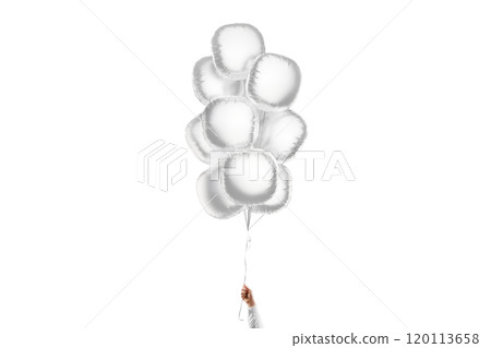 Hand holding blank silver round balloon bouquet mockup, isolated 120113658