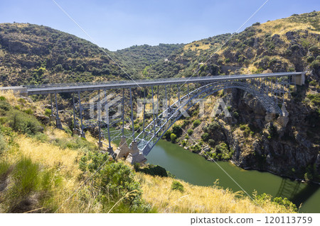 Puente de Requejo bridge, Pino del Oro, Castile and Leon, Spain Puente de Requejo bridge, Pino del Oro, Castile and Leon, Spain 120113759