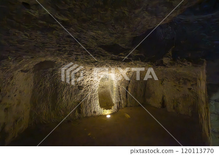 Troglodyte cellar in Breze Castle (Chateau de Breze), UNESCO World Heritage Site, Pays de la Loire, France 120113770