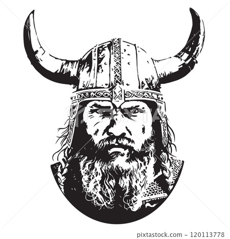 Viking in a helmet 120113778
