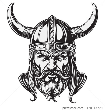 Viking in a helmet 120113779
