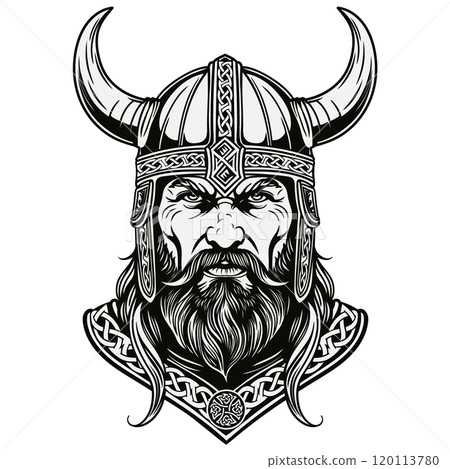 Viking in a helmet 120113780