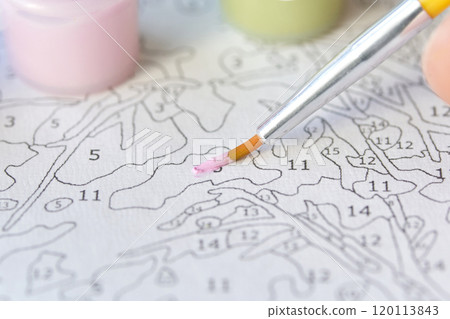 Detailed paint by number art project with bright colors and fine brush strokes 120113843