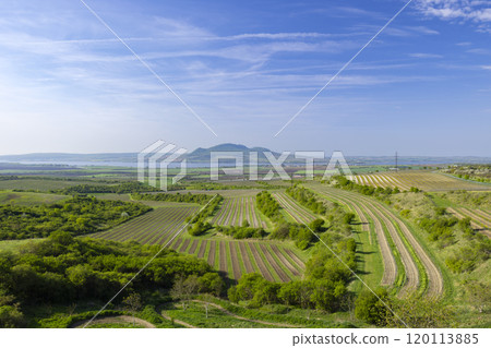 Vineyards under Palava, Southern Moravia, Czech Republic Vineyards under Palava, Southern Moravia, Czech Republic 120113885