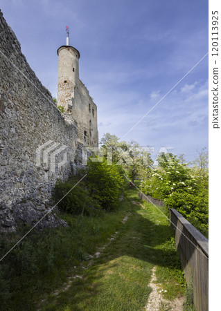 Falkenstein ruins, Lower Austria, Austria 120113925