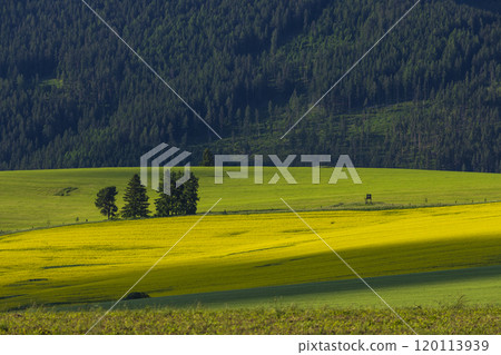 Western Tatras (Rohace) in spring time, Slovakia Western Tatras (Rohace) in spring time, Slovakia 120113939