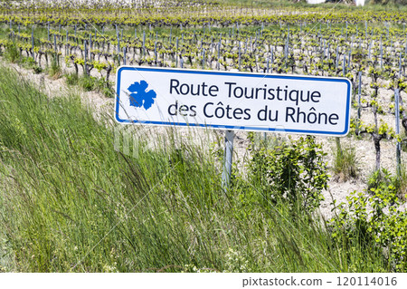Typical vineyard with Wine road (Route Touristique des Cotes du Rhone) near Faucon, Cotes du Rhone, France 120114016
