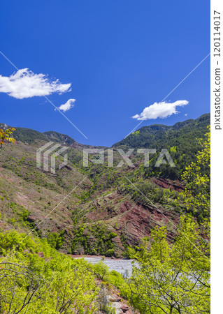 Gorges Du Daluis Regional Nature Reserve, Var river, Alpes-Maritimes, Provence-Alpes-Cote d'Azur, France 120114017