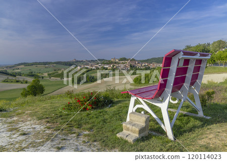 Typical vineyard near Castello di Razzano and Alfiano Natta, Barolo wine region, province of Cuneo, region of Piedmont, Italy Typical vineyard near Castello di Razzano and Alfiano Natta, Barolo wine region, province of Cuneo, region of Piedmont, Italy 120114023