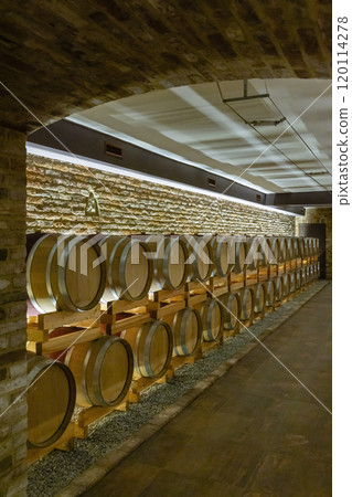 Wine cellar, Cascina Montalbera, Castagnole Monferrato, Piedmont, Italy Wine cellar, Cascina Montalbera, Castagnole Monferrato, Piedmont, Italy 120114278