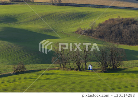 Landscape with chapel of St. Barborkas near Strazovice, Southern Moravia, Czech Republic 120114298