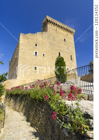 Chateauneuf-du-Pape castle ruins, Cotes du Rhone, France Chateauneuf-du-Pape castle ruins, Cotes du Rhone, France 120114352