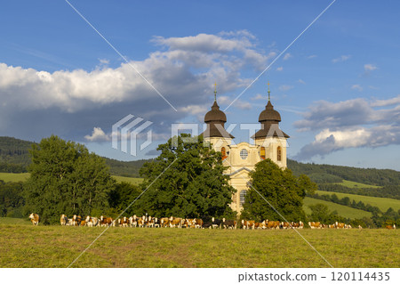 Church of St. Markets, Sonov near Broumov, Eastern Bohemia, Czech Republic 120114435