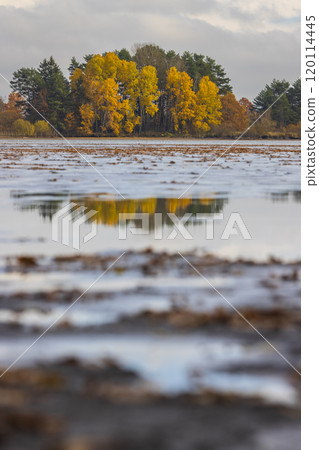 Typical autumn landscape in Trebonsko region, Velky Sustov pond near Suchdol nad Luznici, Southern Bohemia, Czech Republic Typical autumn landscape in Trebonsko region, Velky Sustov pond near Suchdol nad Luznici, Southern Bohemia, Czech Republic 120114445