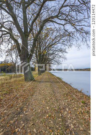 Typical autumn landscape in Trebonsko region, Velky Sustov pond near Suchdol nad Luznici, Southern Bohemia, Czech Republic Typical autumn landscape in Trebonsko region, Velky Sustov pond near Suchdol nad Luznici, Southern Bohemia, Czech Republic 120114472
