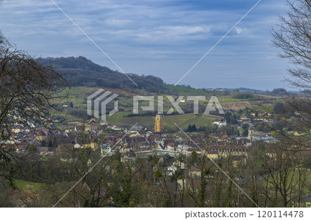 Vineyards with Arbois town, Department Jura, Franche-Comte, France 120114478