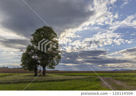Broumov basin, Eastern Bohemia, Czech Republic Broumov basin, Eastern Bohemia, Czech Republic 120114504