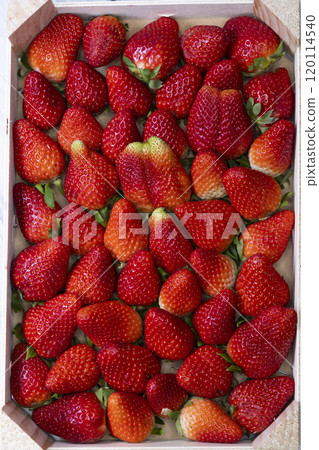 top view of a crate of strawberries 120114540