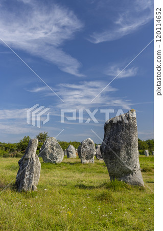 Standing stones (or menhirs) in Carnac, Morbihan, Brittany, France 120114652