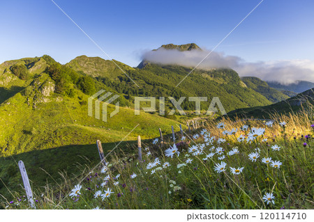 Landscape near Col d'Agnes, Department of Ariege, Pyrenees, France 120114710