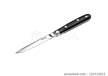 Sharp kitchen knife with sleek black handle and stainless steel blade, perfect for culinary tasks Sharp kitchen knife with sleek black handle and stainless steel blade, perfect for culinary tasks 120114815