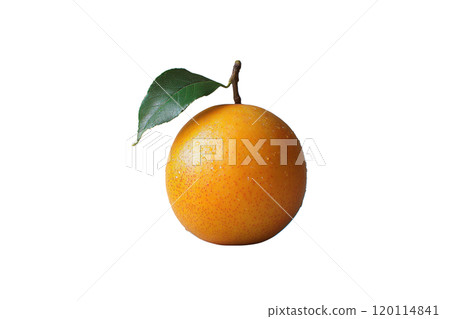 Fresh orange fruit with green leaf, vibrant and juicy, perfect for healthy snacks or juices 120114841
